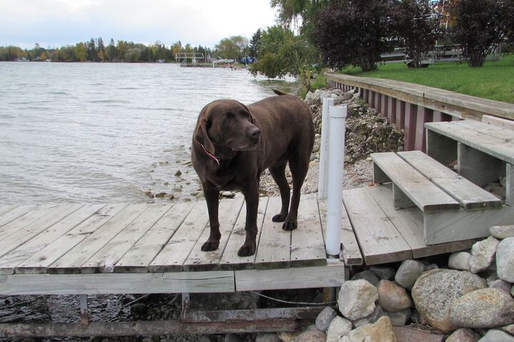 Pet Friendly 52 of 57