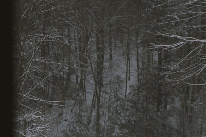 Property Grounds 35 of 35
