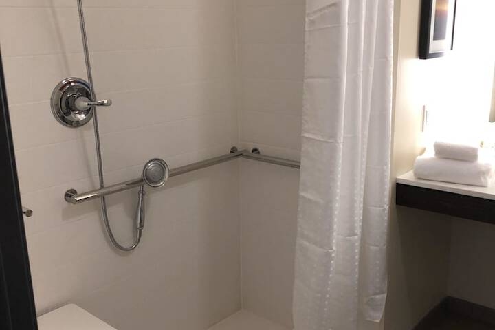 Holiday Inn Hotels and Suites Mount Pleasant by IHG