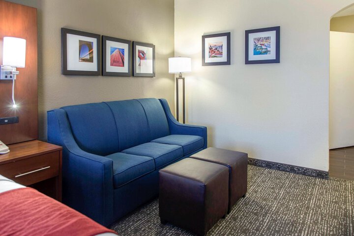 Comfort Inn and Suites San Francisco Airport North