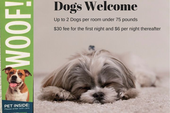 Pet Friendly 34 of 34