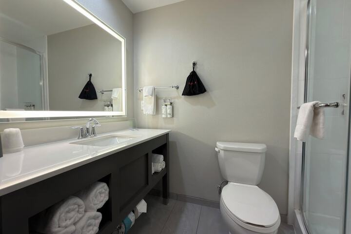 Holiday Inn Midland by IHG
