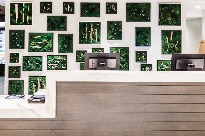 Hotel Indigo Rochester – Mayo Clinic Area by IHG