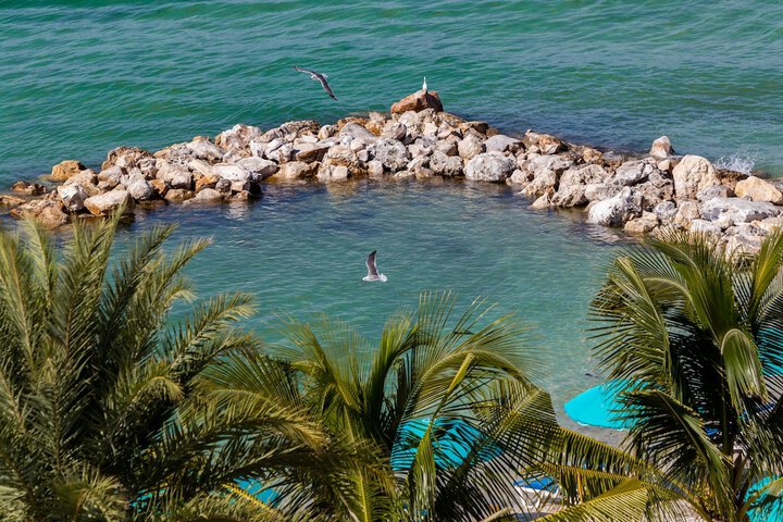 Shephards Beach Resort