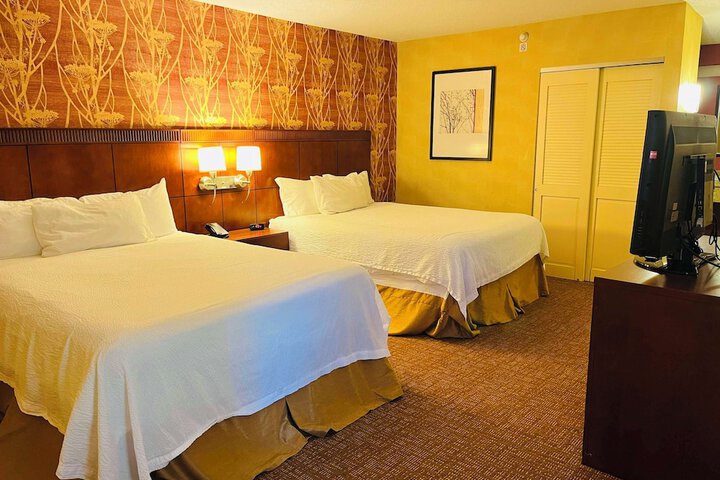 Room 31 of 46