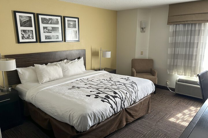 Room 31 of 38