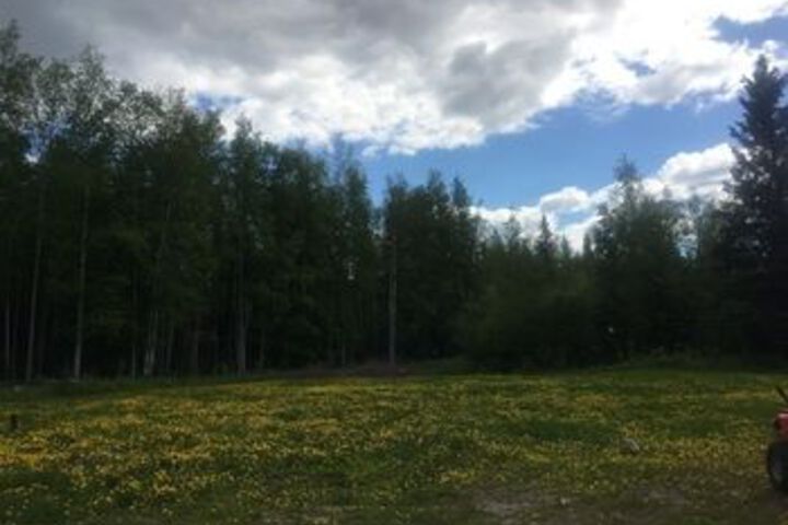Fairbanks Moose Manor B & B