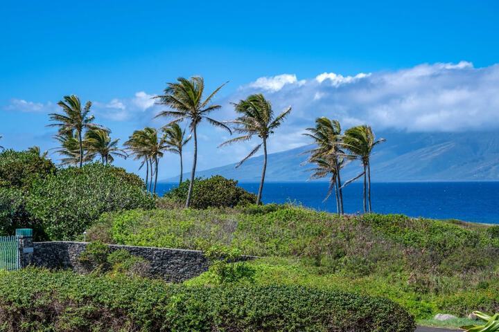 Kapalua Bay Villas by KBM