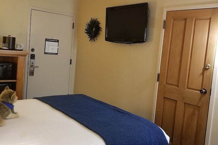Room 42 of 67