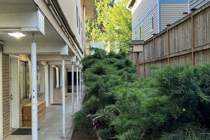 Terrace/Patio 19 of 21