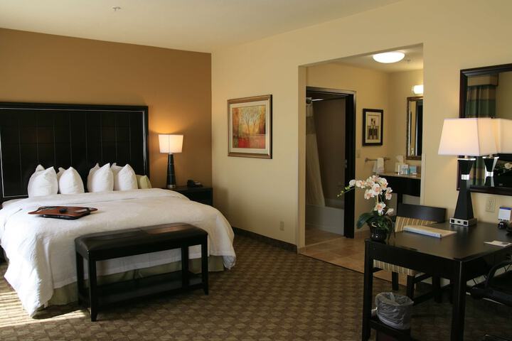 Hampton Inn & Suites McAlester