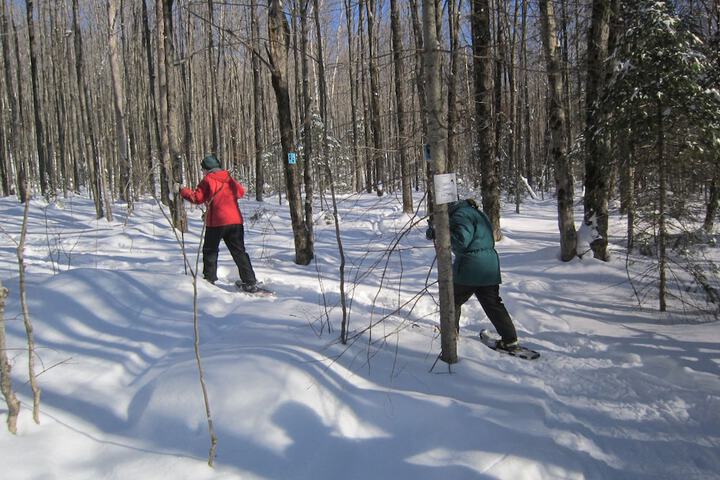 Outdoor Activities 52 of 52