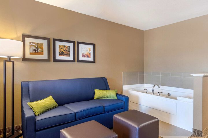 Comfort Inn & Suites Schenectady - Scotia