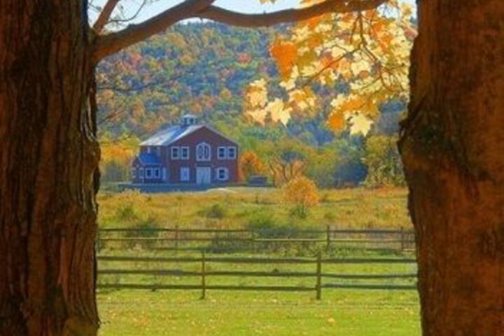 Mountain Horse Farm