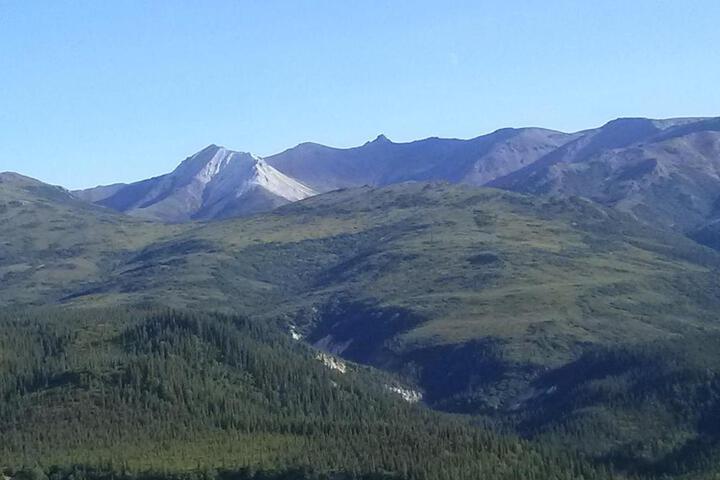 Denalis Alaskan Spruce Cabins