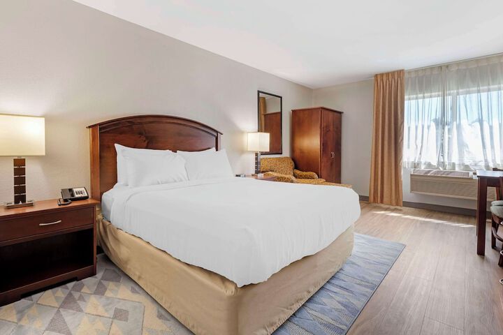 Room 21 of 51