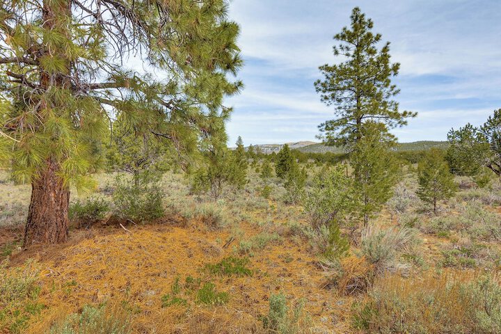 Secluded Boulder House - Next to National Forests!