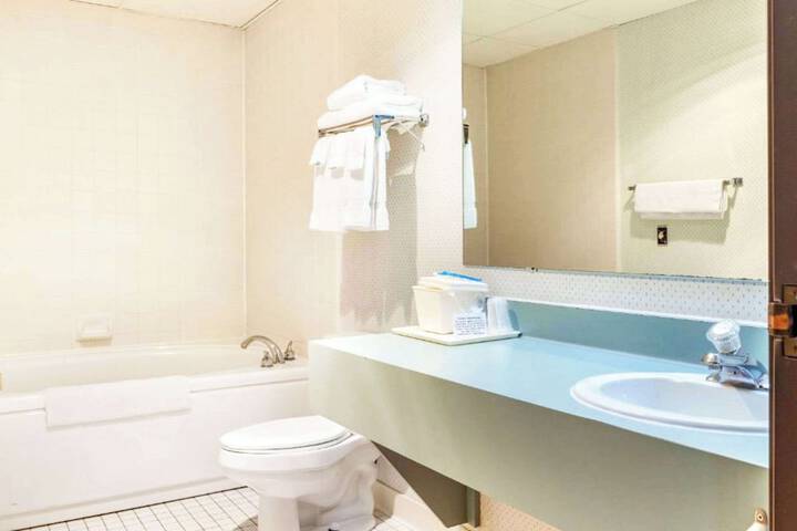 Econo Lodge Wausau - Rothschild