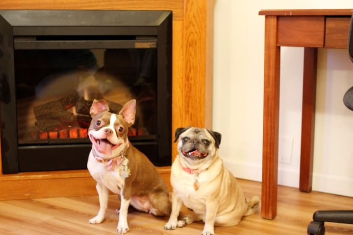 Pet Friendly 64 of 68
