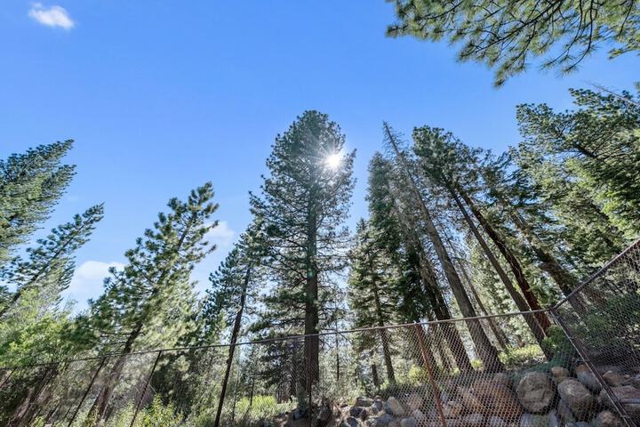 Enjoy Forest Views Retreat at Kingswood Village!