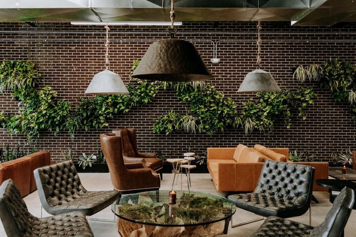 SCP WildFree Colorado Springs Trademark by Wyndham