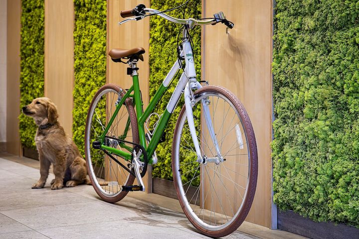 Outdoor Activities 43 of 44