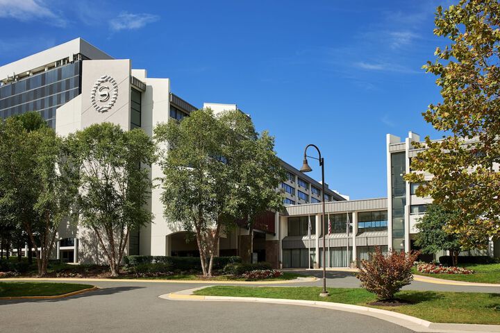 Hotel 4 of 40