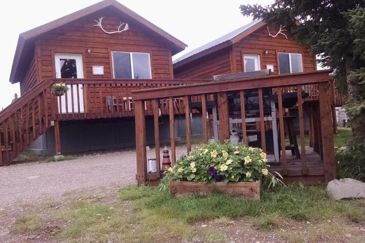 Denalis Alaskan Spruce Cabins
