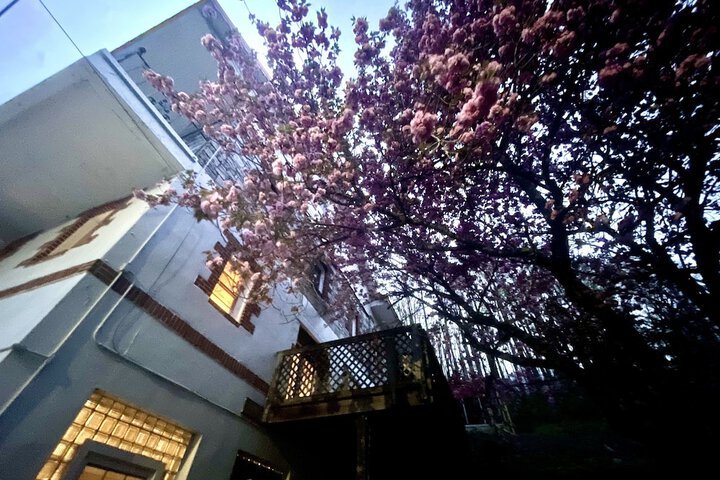 Hotel 6 of 156
