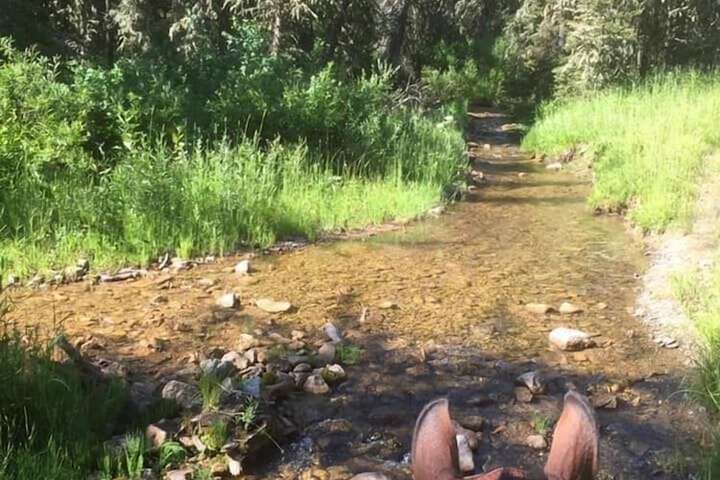 Fish Creek House Bed & Breakfast