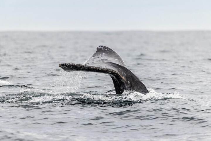 Inn at Cape Kiwanda