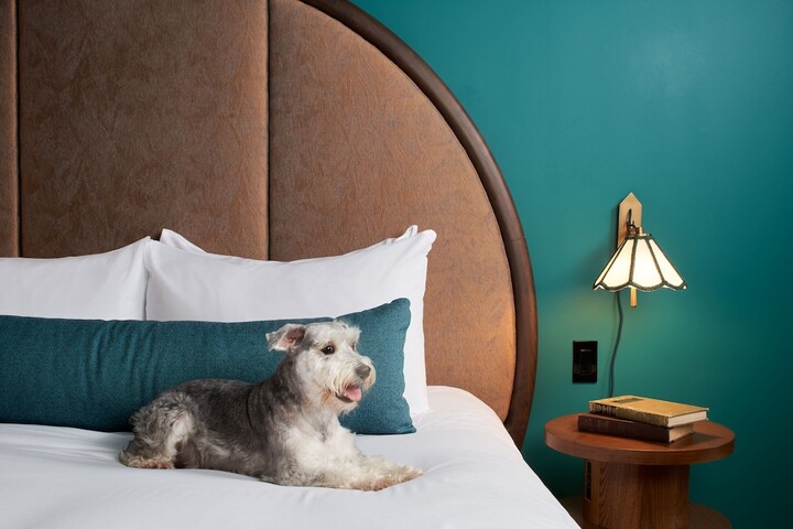 Pet Friendly 128 of 130