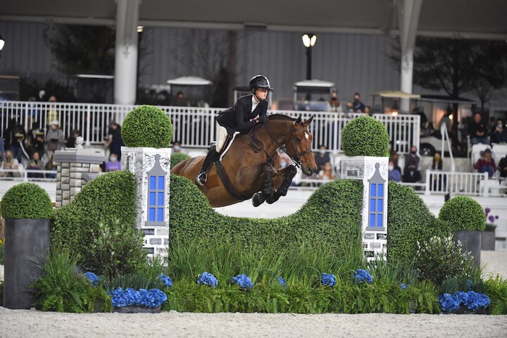 The Equestrian Hotel