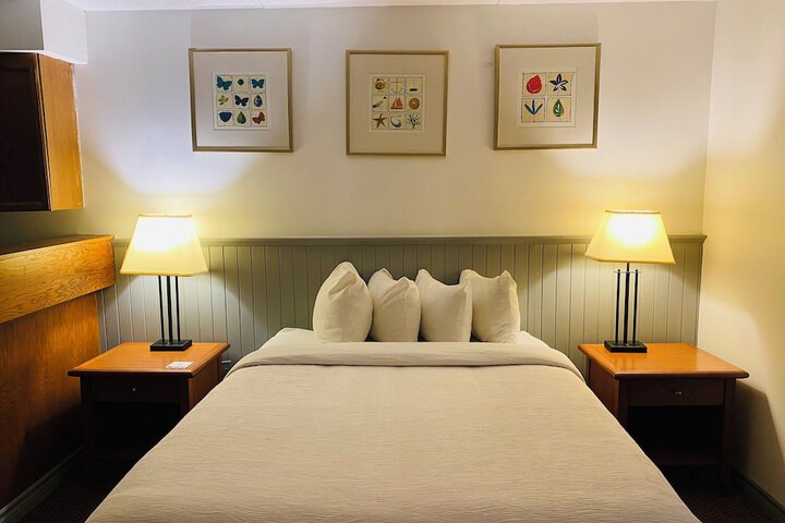 Room 14 of 29