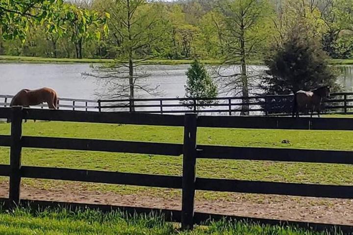 102 Acre Pet Friendly Horse Farm! Bring your horse too!