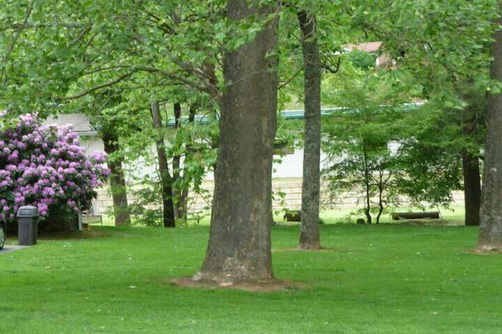 Property Grounds 57 of 61