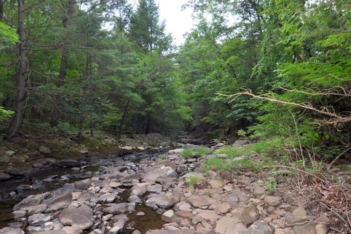 Rosies Creekside Retreat - 3 BR Escape!