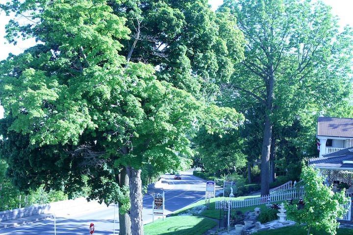 Property Grounds 35 of 35