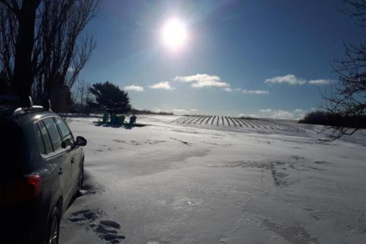 Raven Hill Vineyard