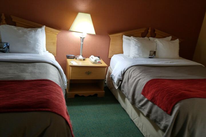 Room 31 of 54