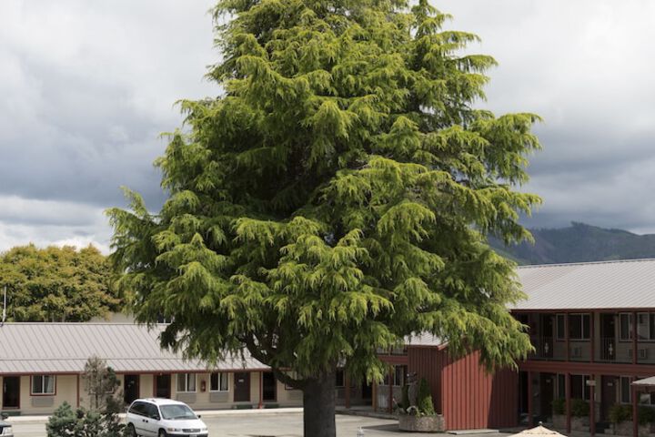 The Forks Motel