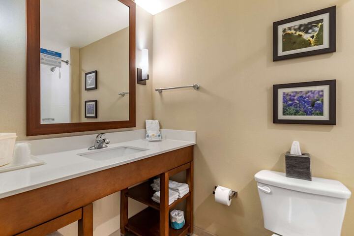 Comfort Suites Kyle