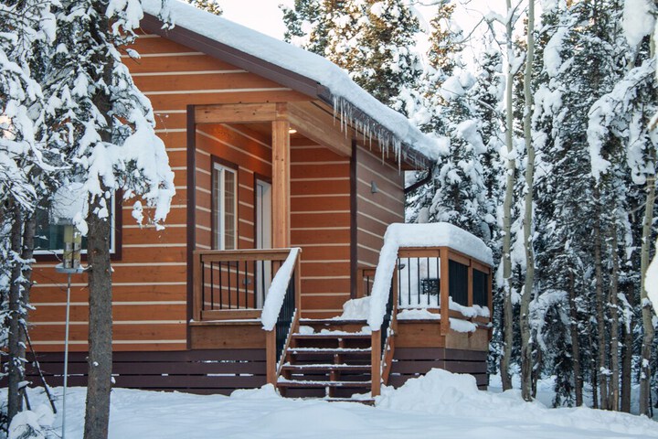 Denali Wild Stay