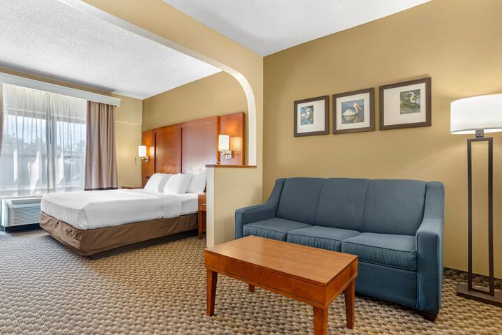 Comfort Suites Tallahassee Capitol - University Area