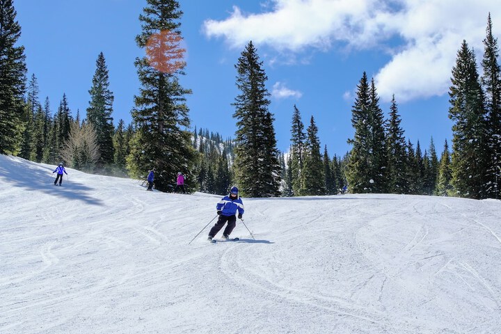 Settlers Creek 6523