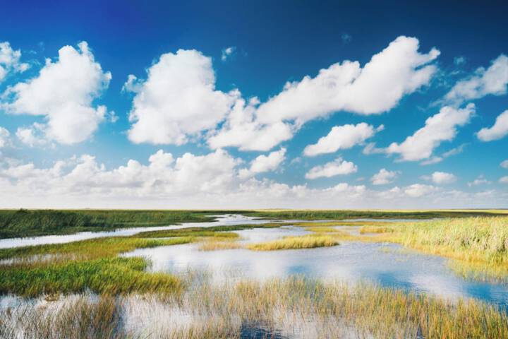 Holiday Inn Miami - International Airport by IHG