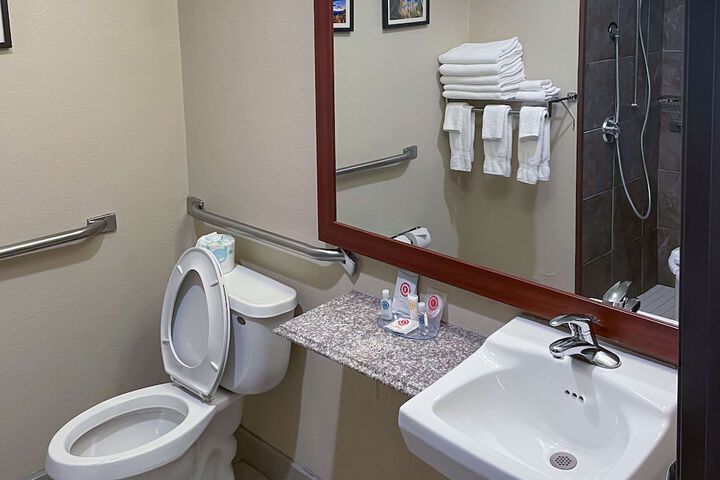 Comfort Inn & Suites Midtown