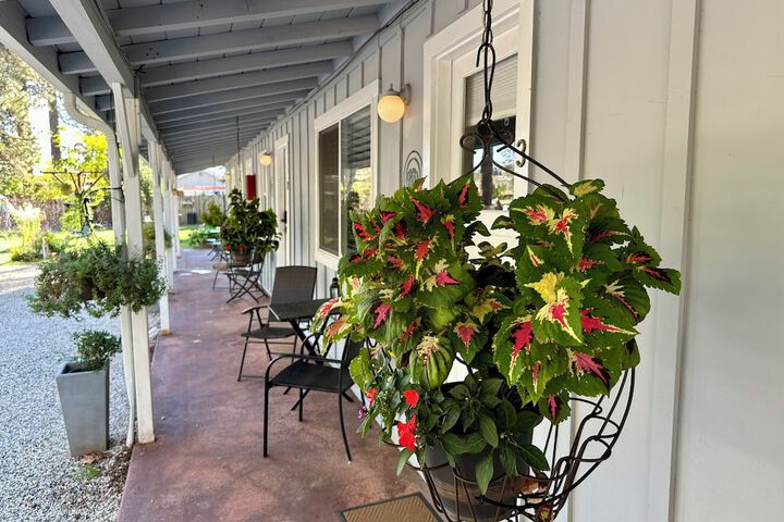 The Pines Inn and Cottages
