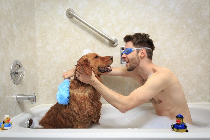Pet Friendly 51 of 61