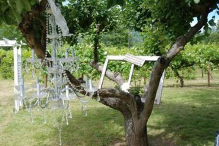 Columbia Gardens Winery and Grape Escape Guesthouse
